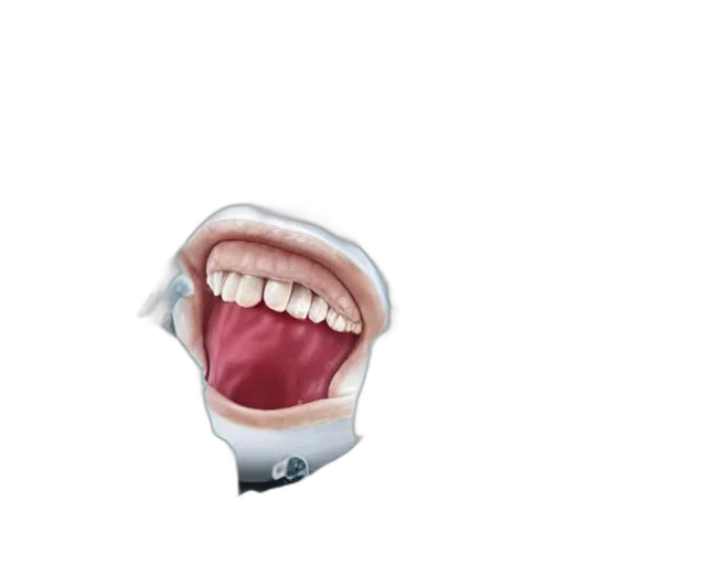 face, mask, creature, staff transparent PNG cut-out