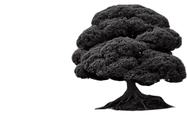 tree, crown, hair, hat transparent PNG cut-out
