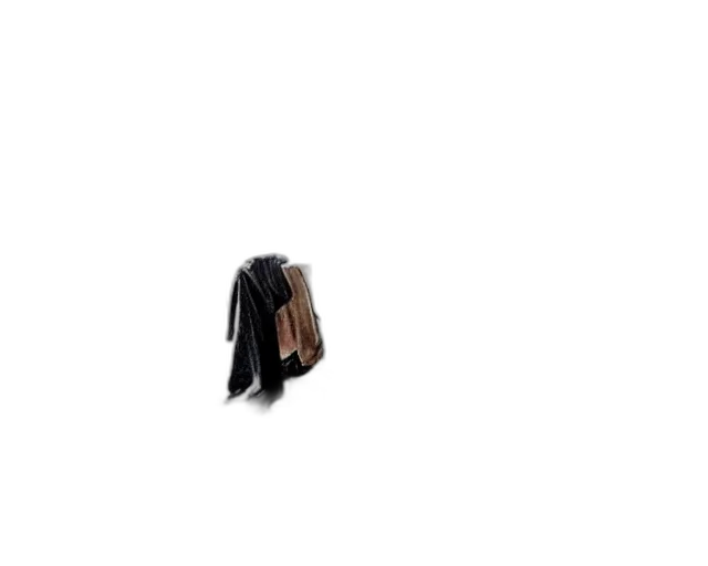 jacket, umbrella, dress, hat transparent PNG cut-out
