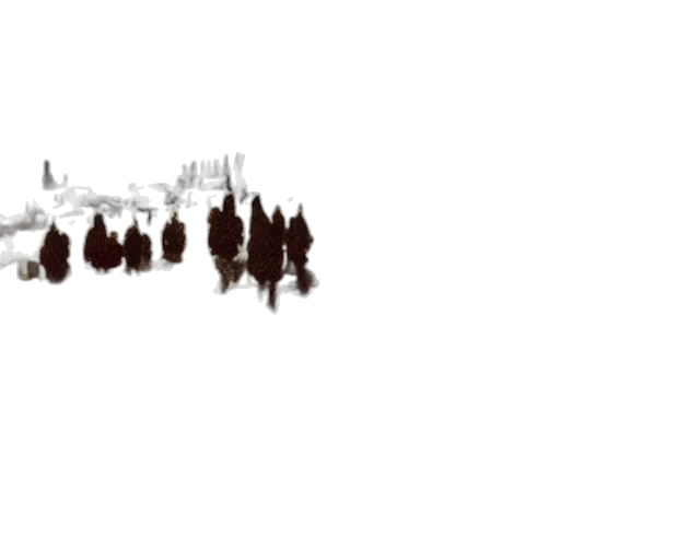crown, staff, hair, tree transparent PNG cut-out