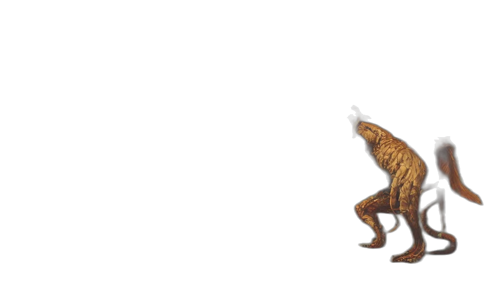 dragon, creature, shoes, animal transparent PNG cut-out
