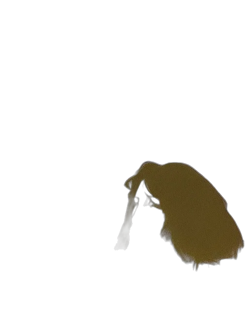 hair, staff, creature, mask transparent PNG cut-out