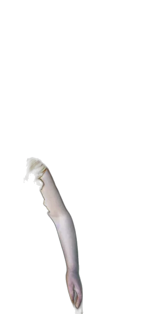 weapon, hair, staff, mask transparent PNG cut-out