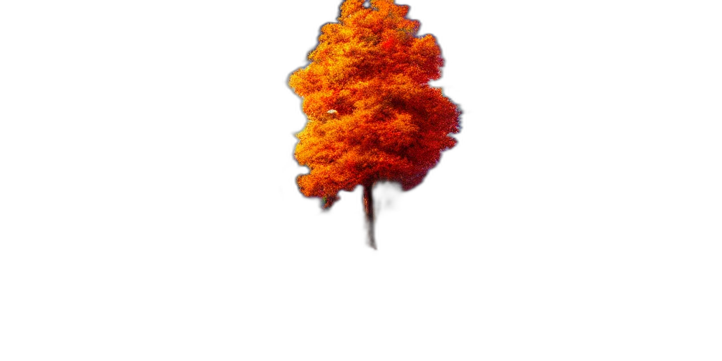 tree, crown, hair, hat transparent PNG cut-out