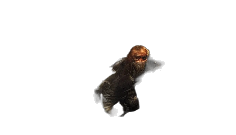 creature, animal, hair, staff transparent PNG cut-out