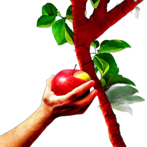 food, staff, weapon, tree transparent PNG cut-out