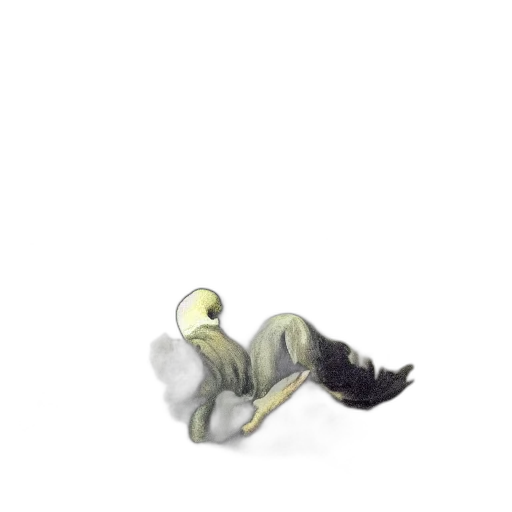 creature, hair, animal, staff transparent PNG cut-out
