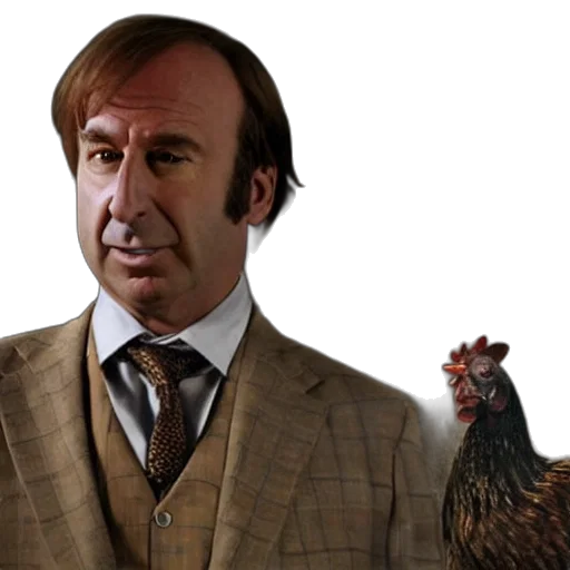 animal, photorealistic, saul, goodman transparent PNG cut-out