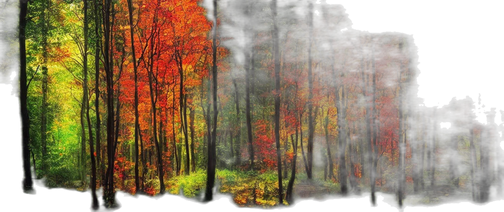 tree, photorealistic, oil painting, concept art transparent PNG cut-out