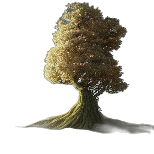 tree, hair, crown, creature transparent PNG cut-out