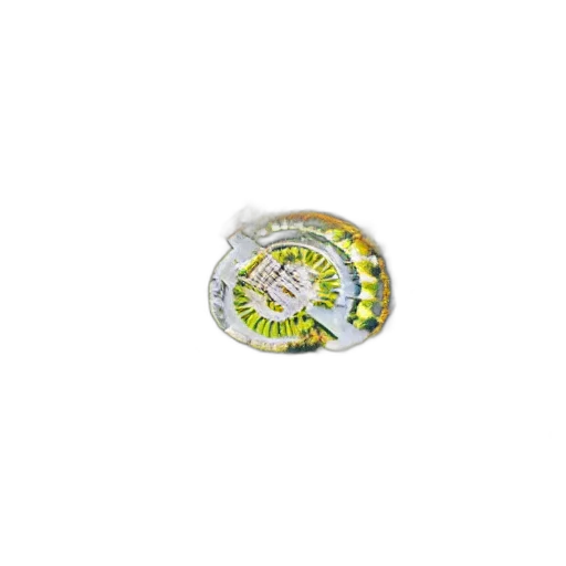 jewelry, crown, 3d render, natural transparent PNG cut-out