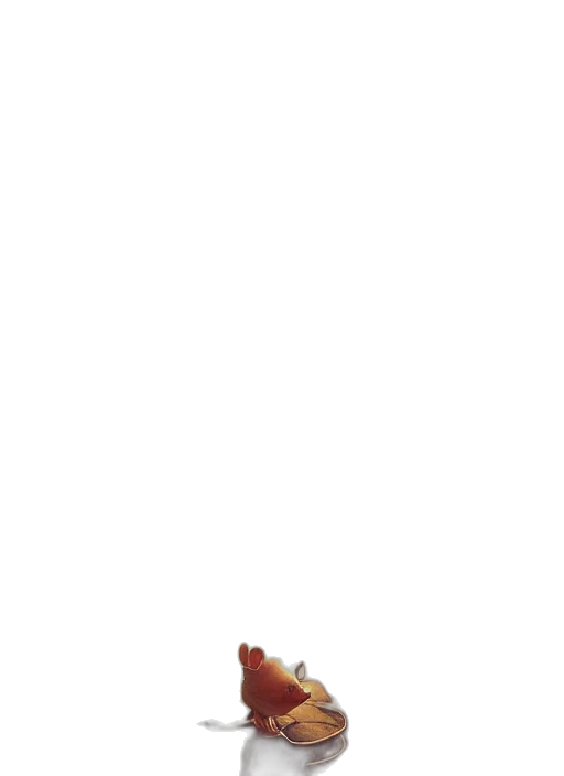 animal, creature, hat, dragon transparent PNG cut-out