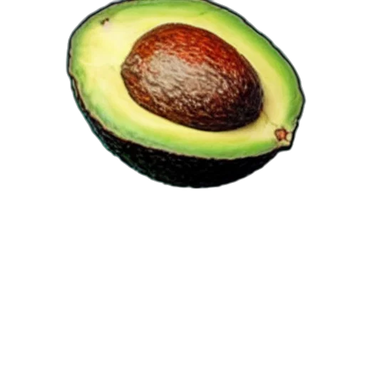 food, hat, animal, weapon transparent PNG cut-out