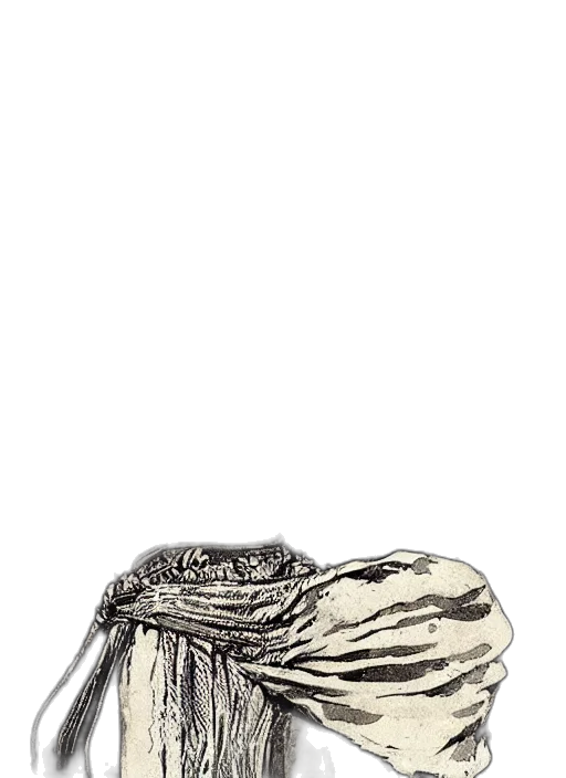 jewelry, crown, shoes, hair transparent PNG cut-out