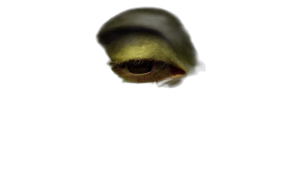 face, creature, mask, hat transparent PNG cut-out