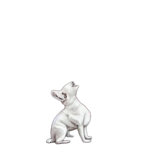 animal, creature, staff, food transparent PNG cut-out