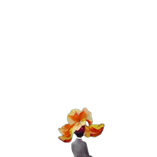 flower, hat, crown, animal transparent PNG cut-out
