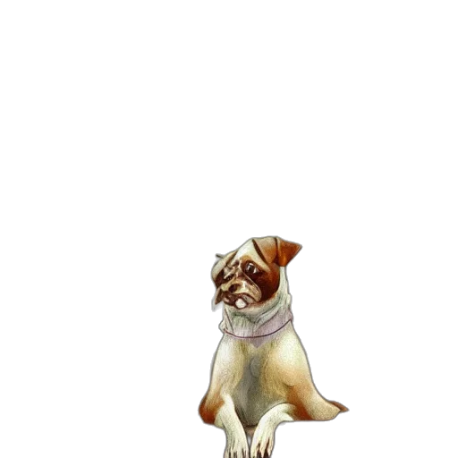 staff, animal, creature, hat transparent PNG cut-out