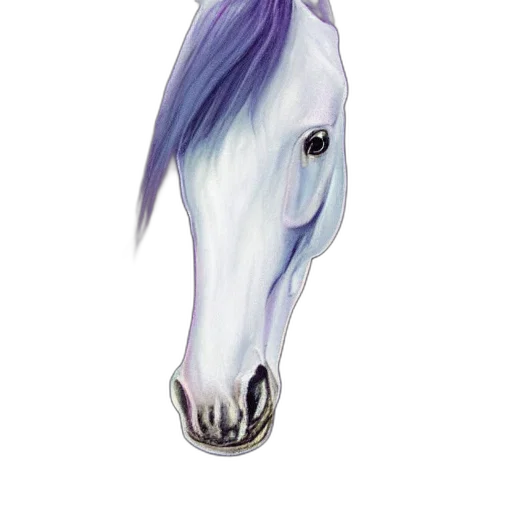 animal, crown, face, mask transparent PNG cut-out