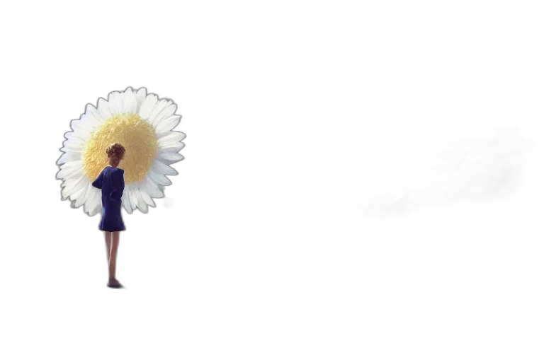 umbrella, dress, flower, crown transparent PNG cut-out