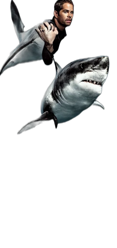 animal, creature, face, staff transparent PNG cut-out