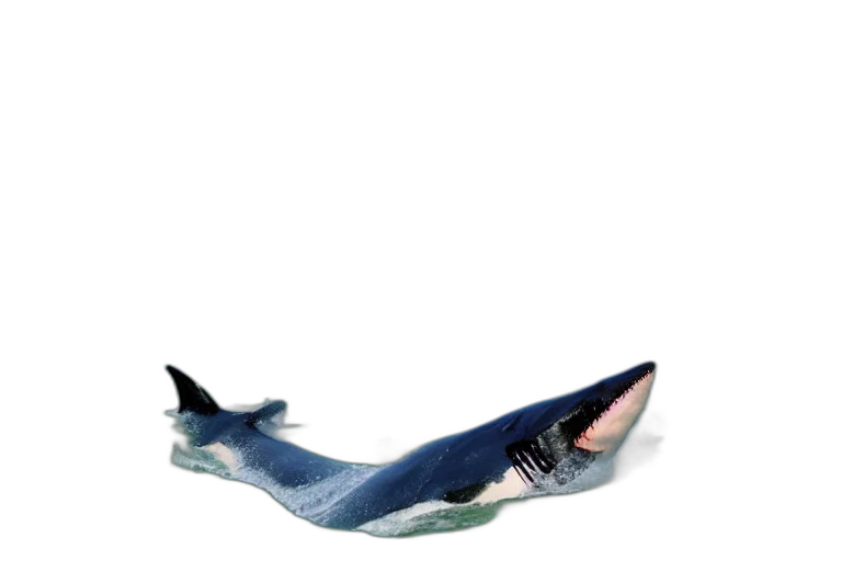 animal, creature, shoes, hat transparent PNG cut-out