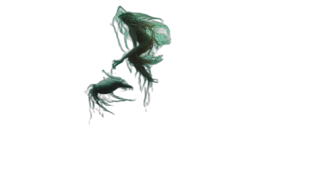 creature, dragon, hair, animal transparent PNG cut-out