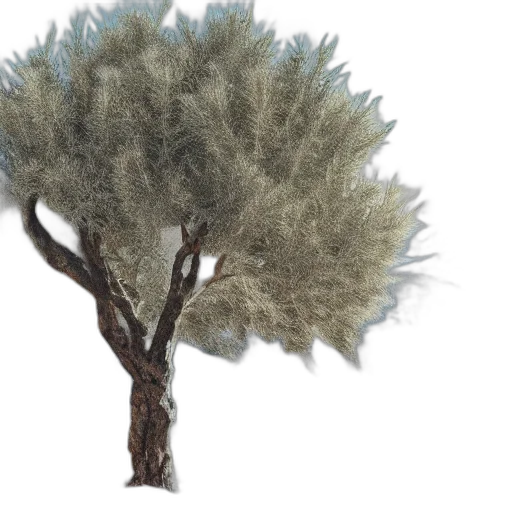 tree, hair, crown, creature transparent PNG cut-out