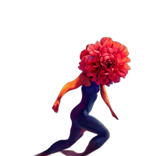 flower, creature, hair, crown transparent PNG cut-out