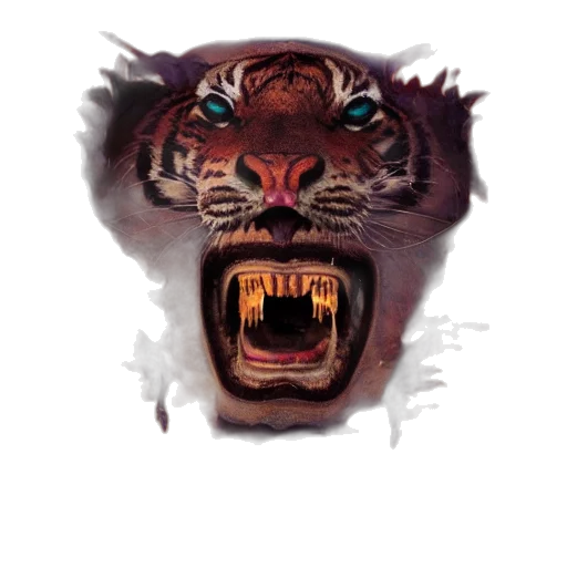 animal, creature, mask, face transparent PNG cut-out