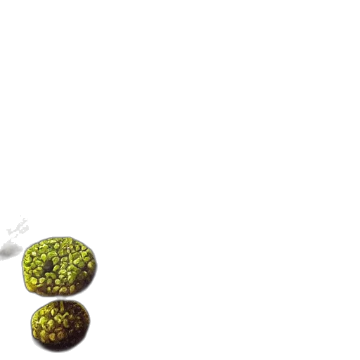 tree, food, hair, staff transparent PNG cut-out