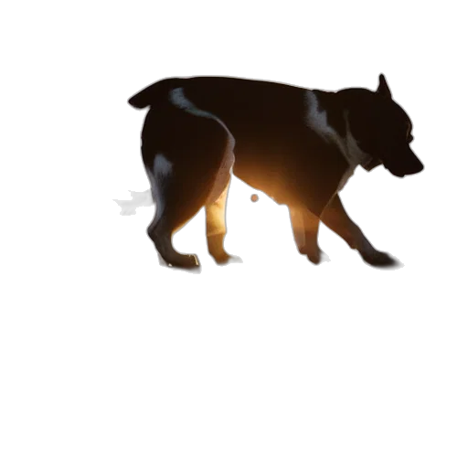 animal, staff, creature, weapon transparent PNG cut-out