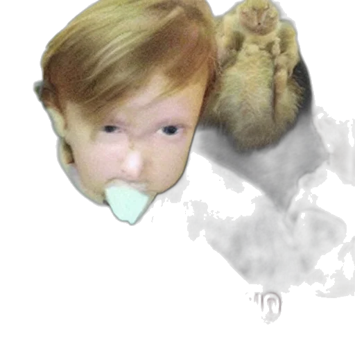 creature, mask, animal, face transparent PNG cut-out