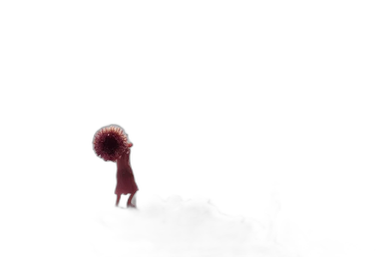 creature, hair, hat, animal transparent PNG cut-out