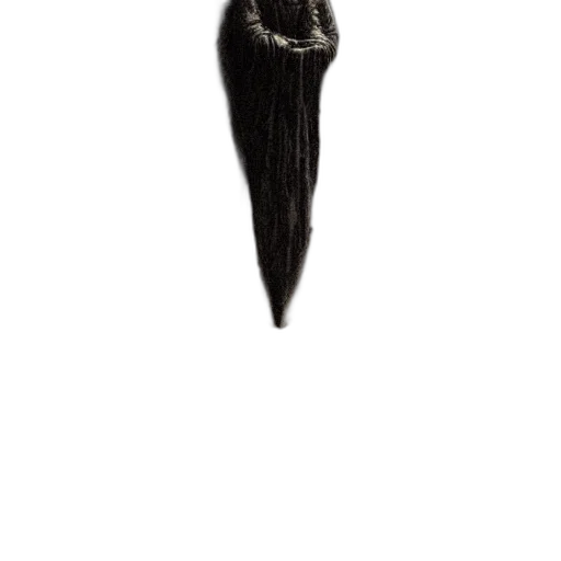 hair, staff, sword, jewelry transparent PNG cut-out