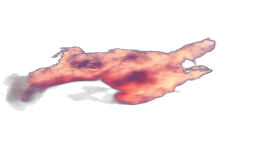 dragon, hair, animal, creature transparent PNG cut-out