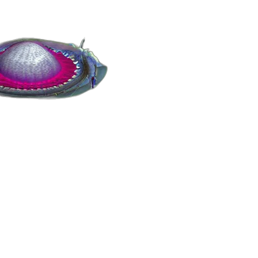 hat, jewelry, umbrella, shoes transparent PNG cut-out