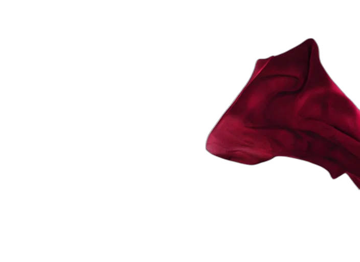 jacket, hat, crown, dress transparent PNG cut-out