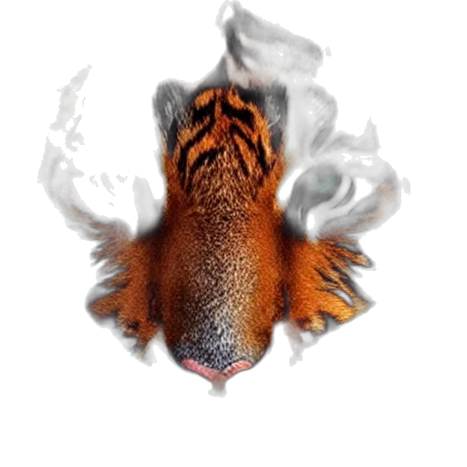 dragon, animal, mask, crown transparent PNG cut-out