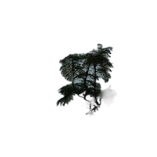 tree, dragon, hair, creature transparent PNG cut-out