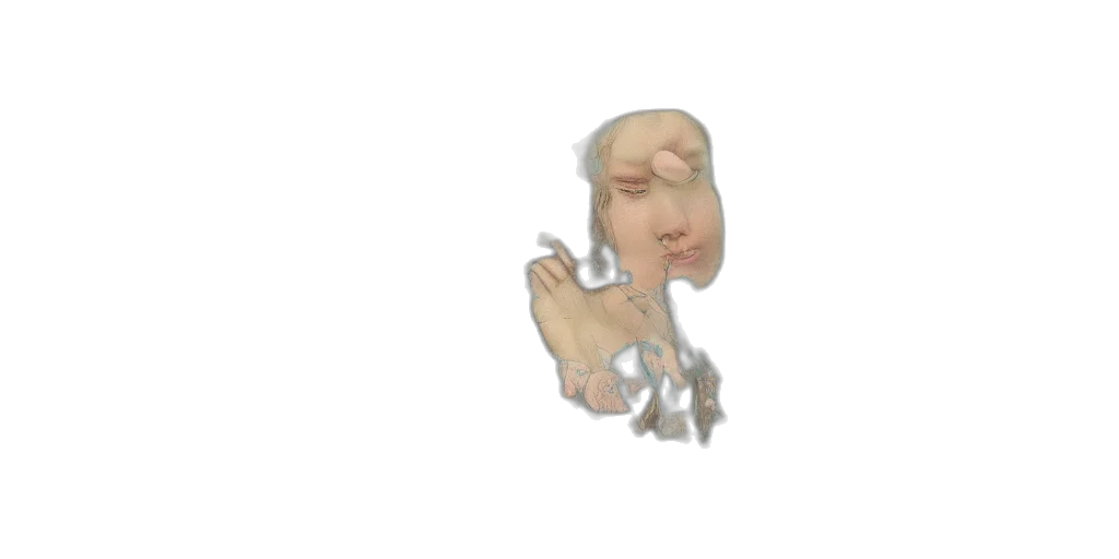 face, creature, mask, animal transparent PNG cut-out