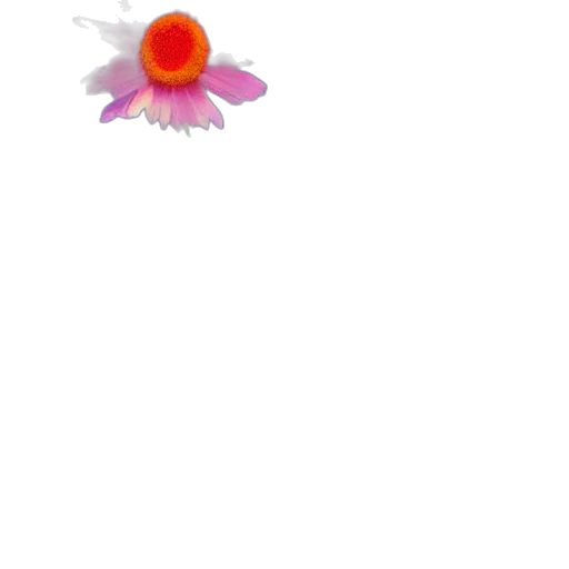 flower, dragon, weapon, crown transparent PNG cut-out