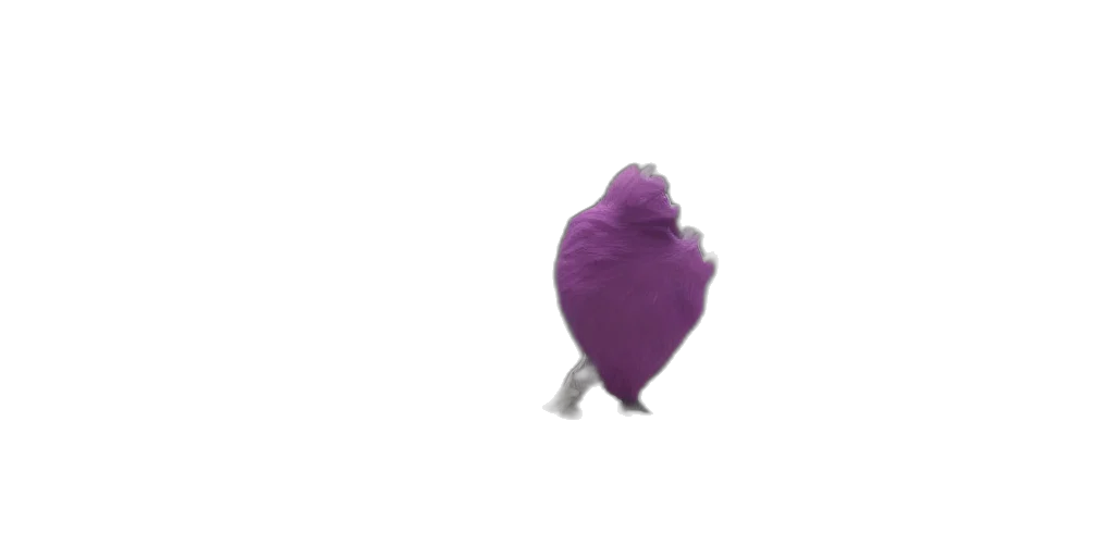 food, flower, creature, shoes transparent PNG cut-out
