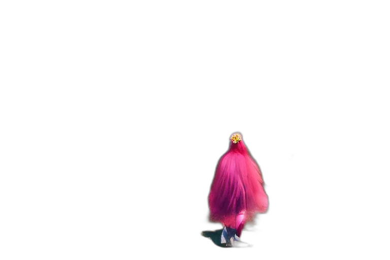 hair, creature, animal, dress transparent PNG cut-out