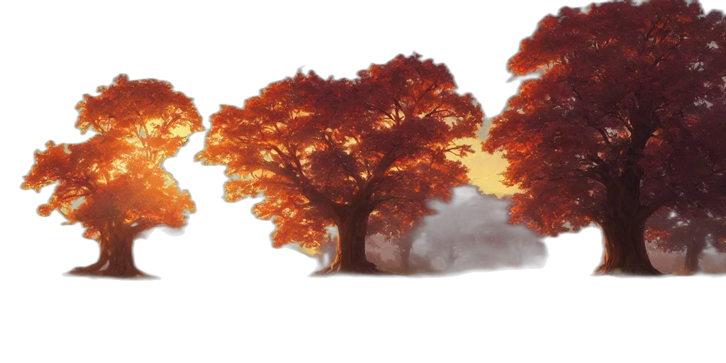 tree, crown, umbrella, photorealistic transparent PNG cut-out