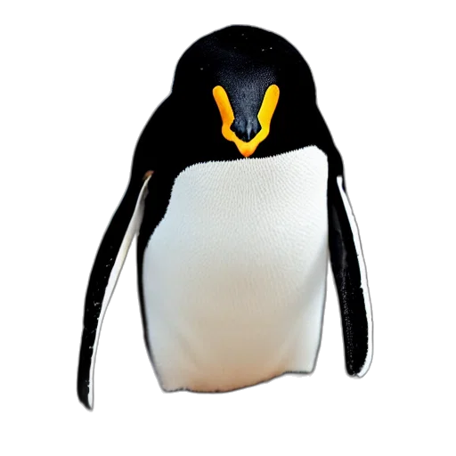 hat, jacket, animal, mask transparent PNG cut-out