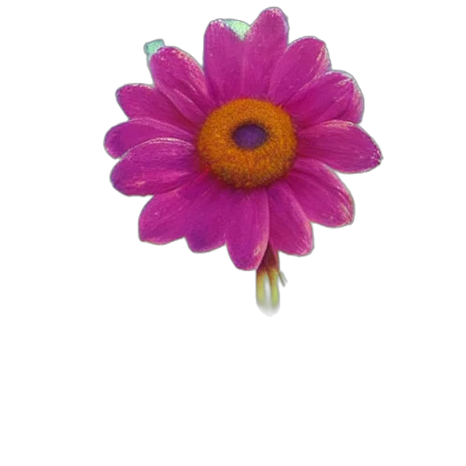 flower, jewelry, crown, staff transparent PNG cut-out