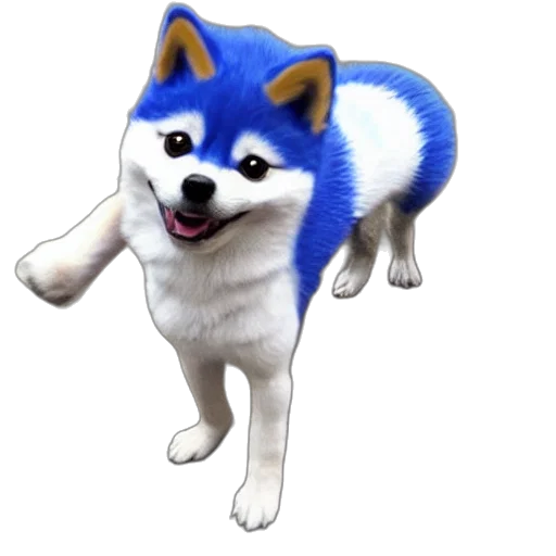 animal, creature, staff, hat transparent PNG cut-out
