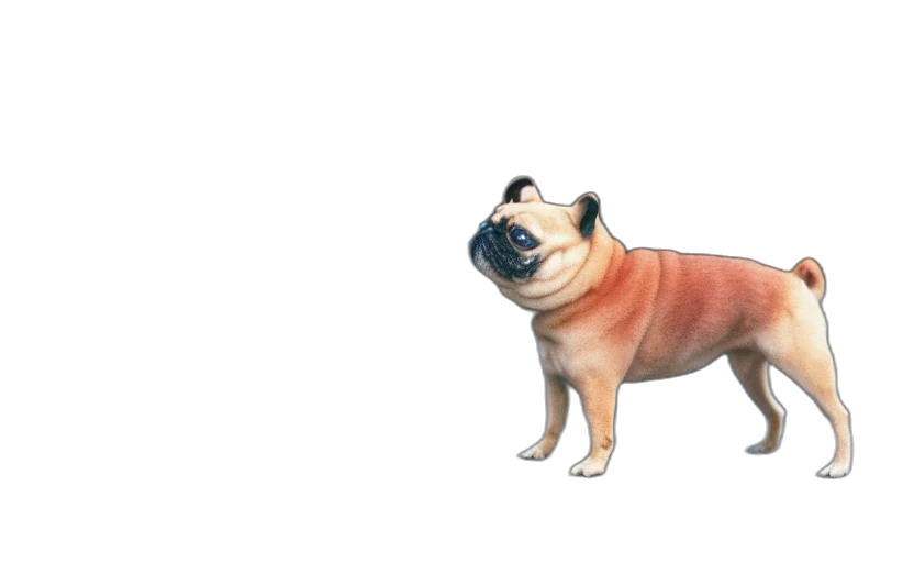animal, creature, face, staff transparent PNG cut-out