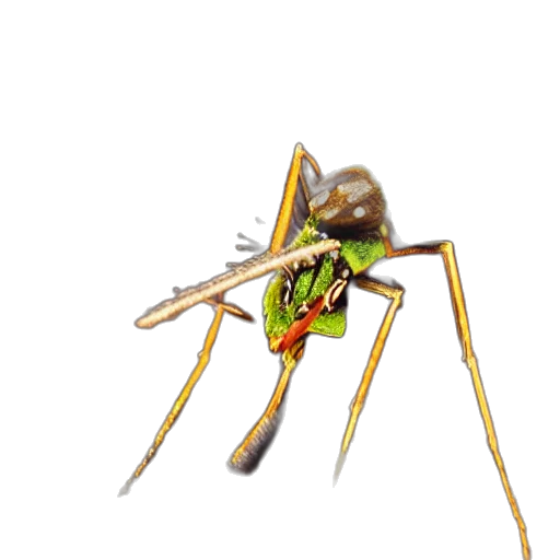staff, animal, weapon, creature transparent PNG cut-out